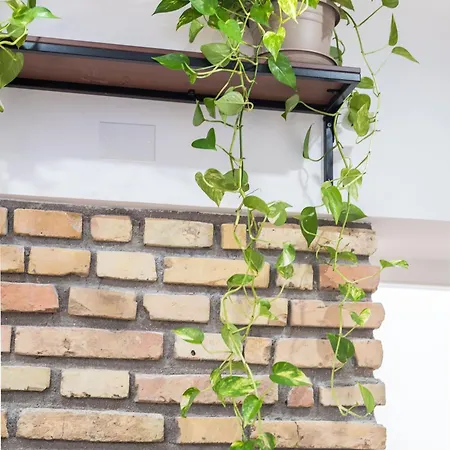 3 Vatican Appartement